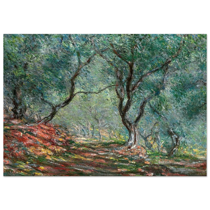 Olive Tree Wood in the Moreno Garden - claude monet Brushed Aluminum Print - 70x100 cm / 28x40 inches | claude monet Aluminum Print | claude monet Prints
