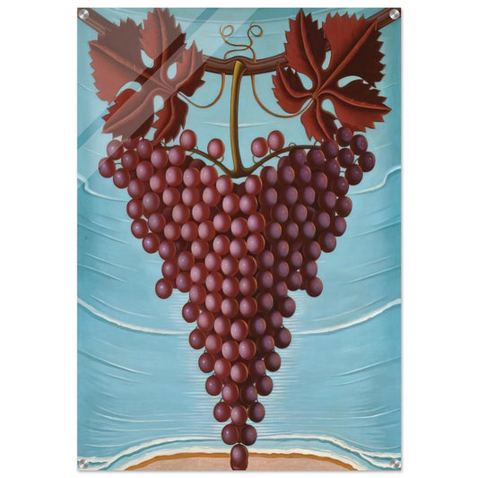 El Racimo De Uvas - 1944 - Maruja Mallo Acrylic Print - 70x100 cm / 28x40″ inches | Maruja Mallo Wall Art | Maruja Mallo Prints