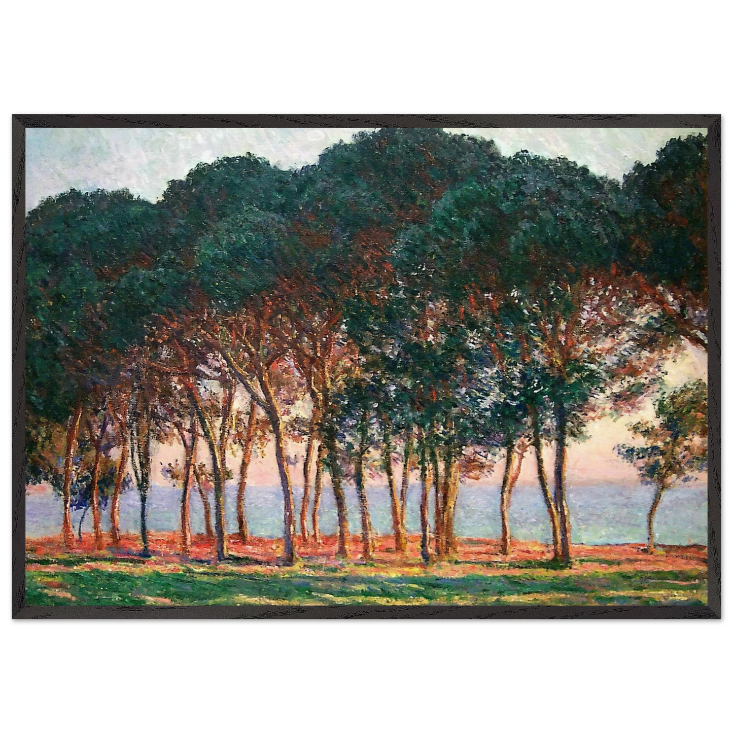 Under the Pine Trees at the End of the Day - claude monet 70x100 cm / 28x40 inches Framed Art Print – Black Wooden Frame