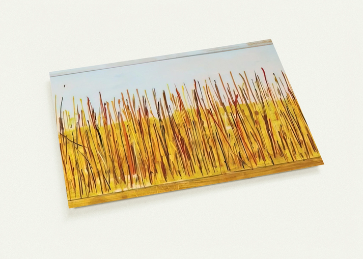 Campo di grano - 1984 By Mario Schifano Pack of 10 Post Cards | Mario Schifano Post Cards | A6 (10.5 x 14.8 cm) - 4.1 x 5.8 inches