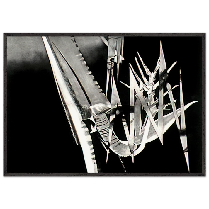 The Prickly Dark - James Rosenquist 70x100 cm / 28x40 inches Framed Art Print – Black Wooden Frame