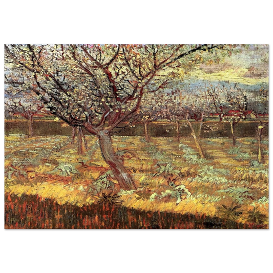 Apricot Trees in Blossom - Vincent van Gogh Brushed Aluminum Print - 70x100 cm / 28x40 inches | Vincent van Gogh Aluminum Print | Vincent van Gogh Prints