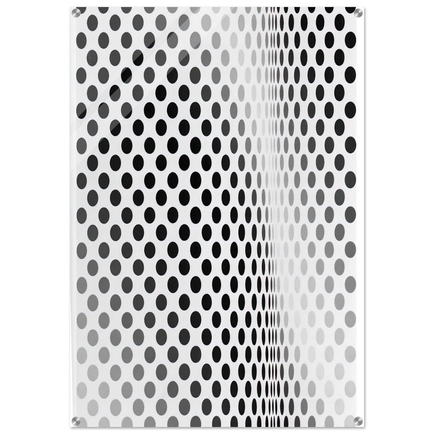 PAUSE 1964 - Bridget Riley Acrylic Print - 70x100 cm / 28x40″ inches