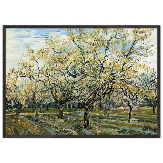 Orchard with Blossoming Plum Trees - Vincent van Gogh 70x100 cm / 28x40 inches Framed Art Print – Black Wooden Frame