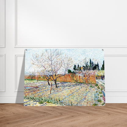 Orchard with Peach Trees in Blossom - Vincent van Gogh Acrylic Print - 70x100 cm / 28x40″ inches
