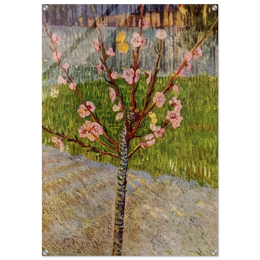 Almond Tree in Blossom - Vincent van Gogh Acrylic Print - 70x100 cm / 28x40″ inches
