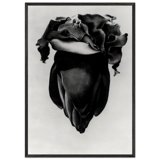 Banana Flower - Georgia OKeeffe 70x100 cm / 28x40 inches Framed Art Print – Black Wooden Frame
