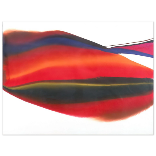 Paul Jenkins - Phenomena Lands End - 1974  75x100 cm / 30x40inches Fine Art Poster