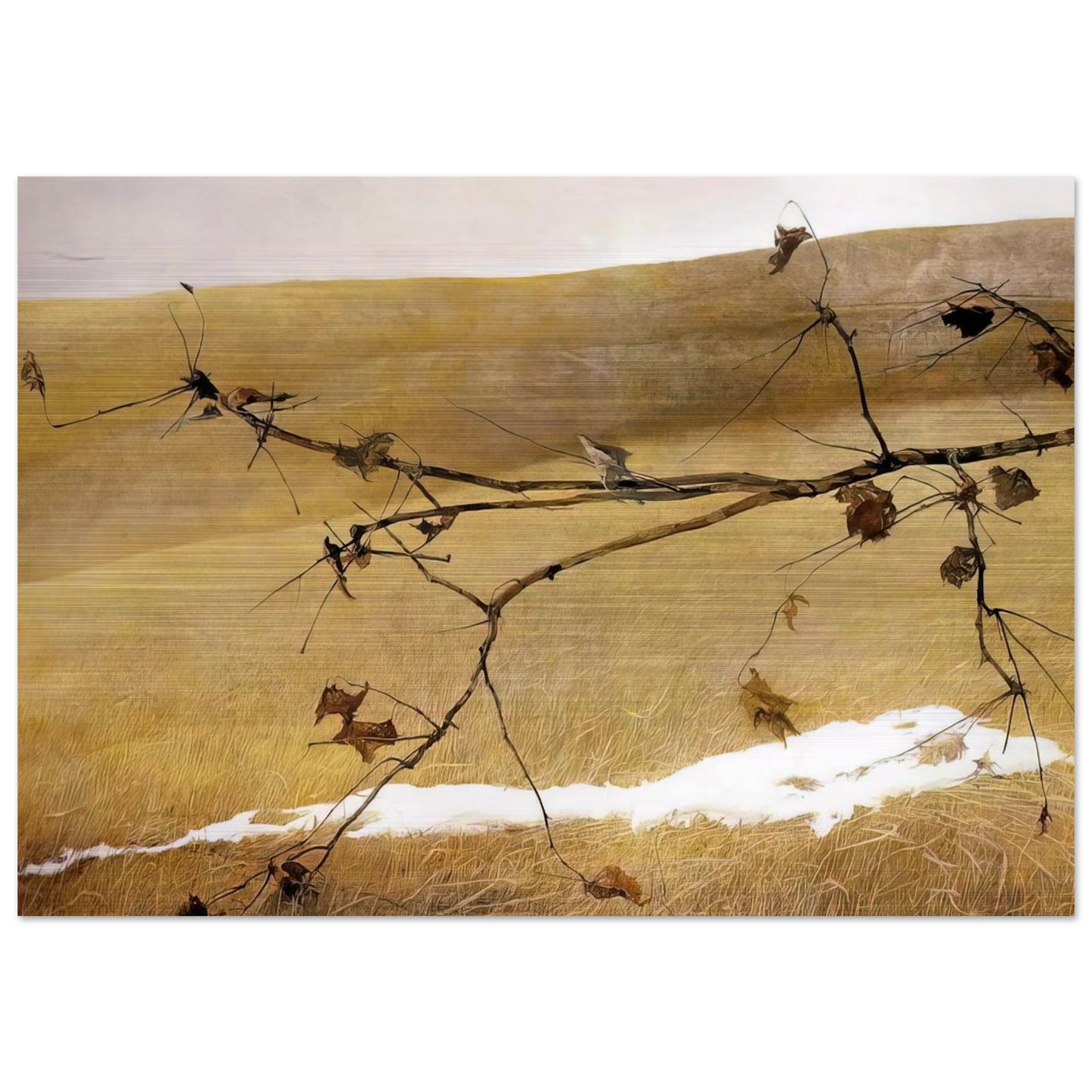 LONG LIMB - Andrew Wyeth Brushed Aluminum Print - 70x100 cm / 28x40 inches | Andrew Wyeth Aluminum Print | Andrew Wyeth Prints