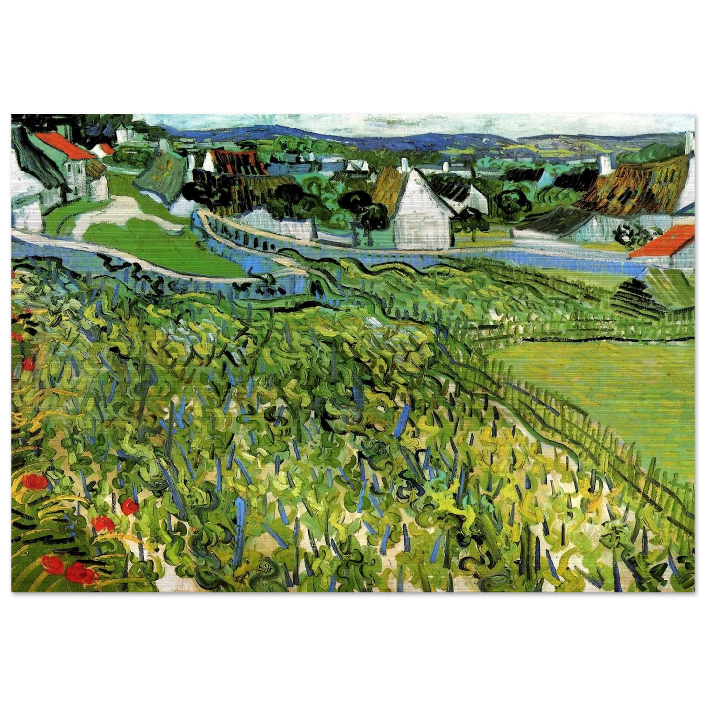 Vineyards with a View of Auvers - Vincent van Gogh Brushed Aluminum Print - 70x100 cm / 28x40 inches | Vincent van Gogh Aluminum Print | Vincent van Gogh Prints