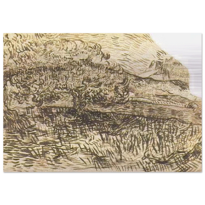 Olive Trees in a Mountain Landscape - Vincent van Gogh Brushed Aluminum Print - 70x100 cm / 28x40 inches | Vincent van Gogh Aluminum Print | Vincent van Gogh Prints
