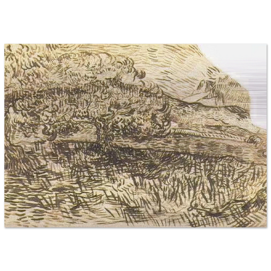 Olive Trees in a Mountain Landscape - Vincent van Gogh Brushed Aluminum Print - 70x100 cm / 28x40 inches | Vincent van Gogh Aluminum Print | Vincent van Gogh Prints