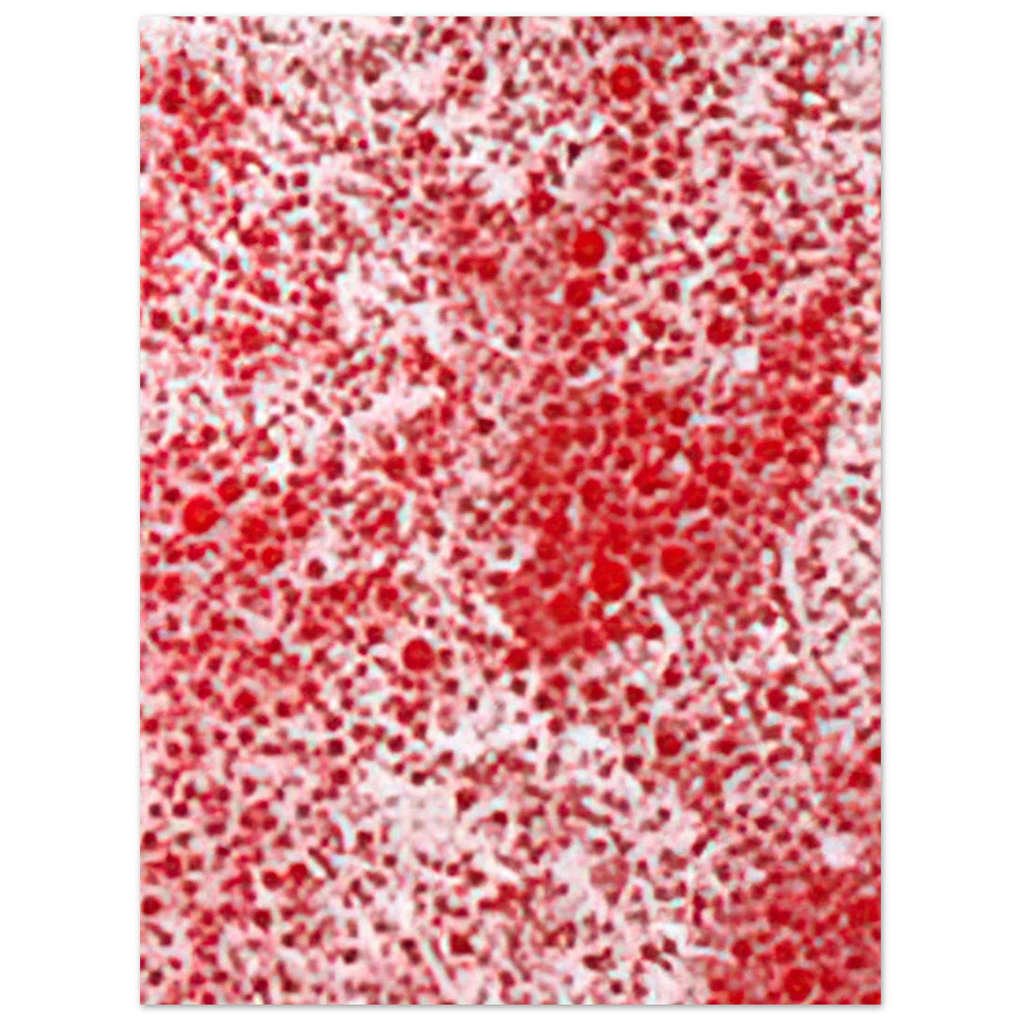 Yayoi Kusama - BEYOND THE END OF THE CENTURY 1987 Fine Art Poster