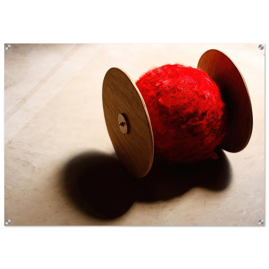 Wheels with ball - 2001 - Lygia Pape Acrylic Print - 70x100 cm / 28x40″ inches | Lygia Pape Wall Art | Lygia Pape Prints