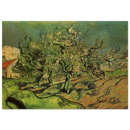 Landscape with Three Trees and a House - Vincent van Gogh Brushed Aluminum Print - 70x100 cm / 28x40 inches | Vincent van Gogh Aluminum Print | Vincent van Gogh Prints