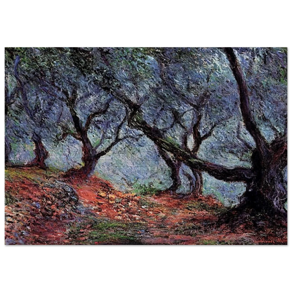 Grove of Olive Trees in Bordighera - claude monet Brushed Aluminum Print - 70x100 cm / 28x40 inches | claude monet Aluminum Print | claude monet Prints