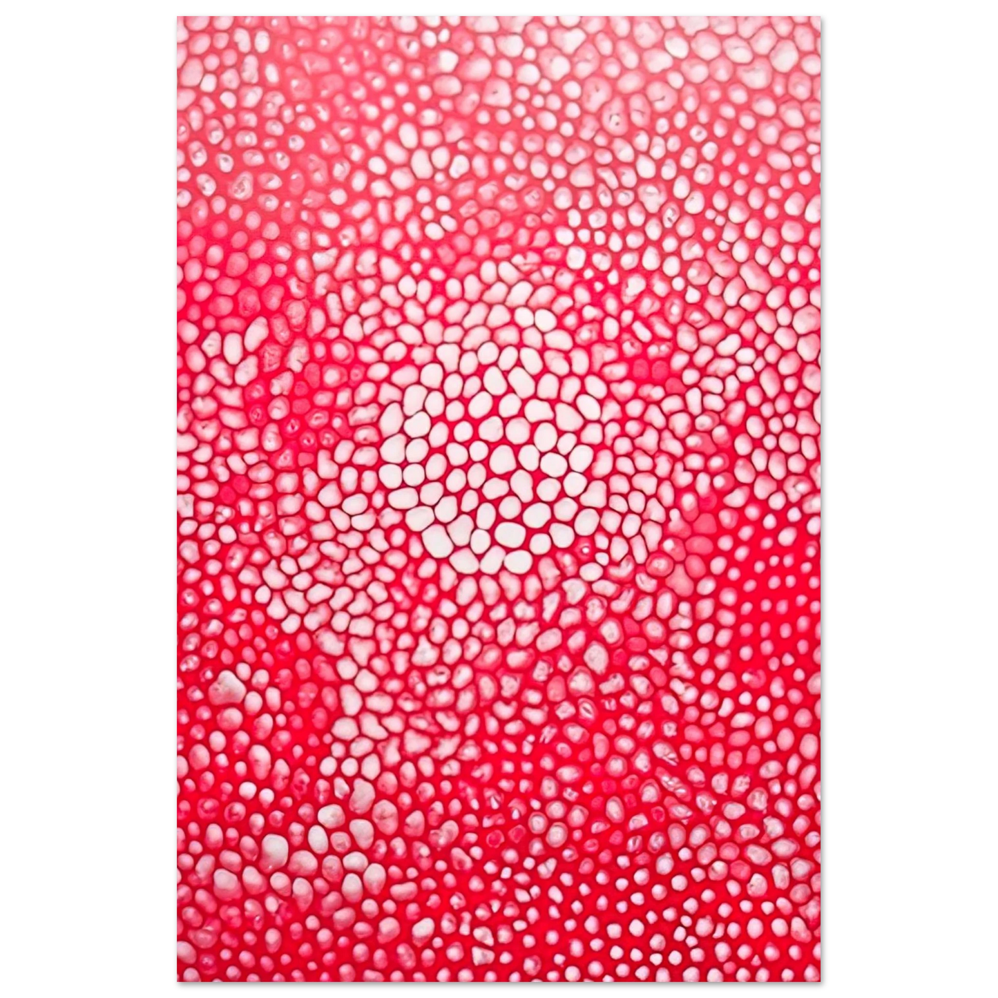 Yayoi Kusama - SUNLIGHT 1998 Fine Art Poster