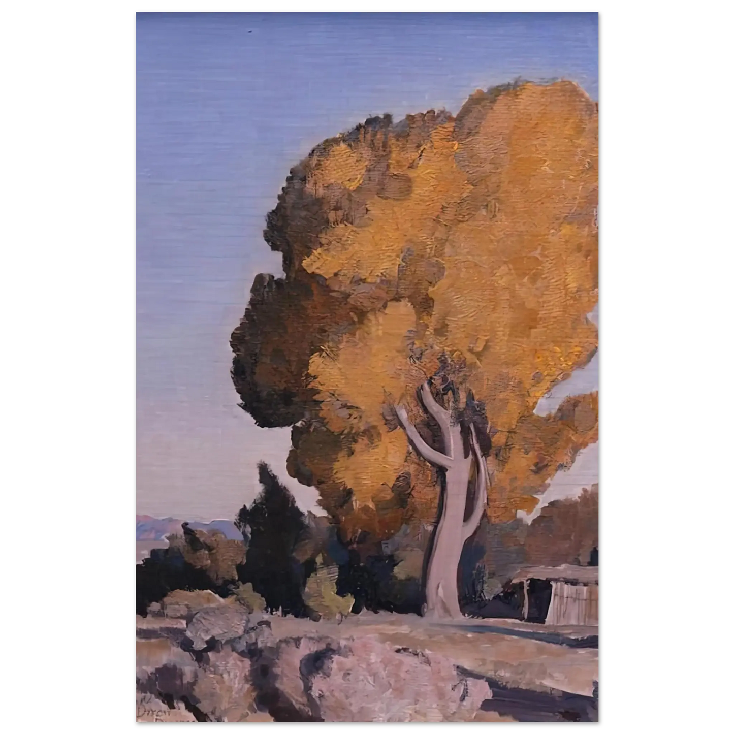 Maynard Dixon - LOW COUNTRY COTTONWOOD 1940 Wall art - 28x43  cm / XL (11x17 Inches) - Fine Art Poster - -