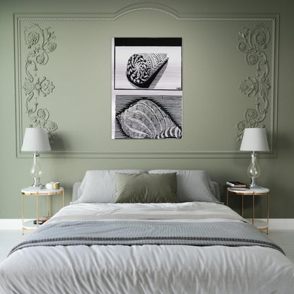 SEA SHELLS - MC Escher Brushed Aluminum Print - 70x100 cm / 28x40 inches | MC Escher Aluminum Print | MC Escher Prints