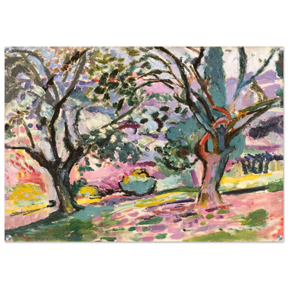 OLIVE TREES AT COLLIOURE 1906 - Henri Matisse Acrylic Print - 70x100 cm / 28x40″ inches | Henri Matisse Wall Art | Henri Matisse Prints