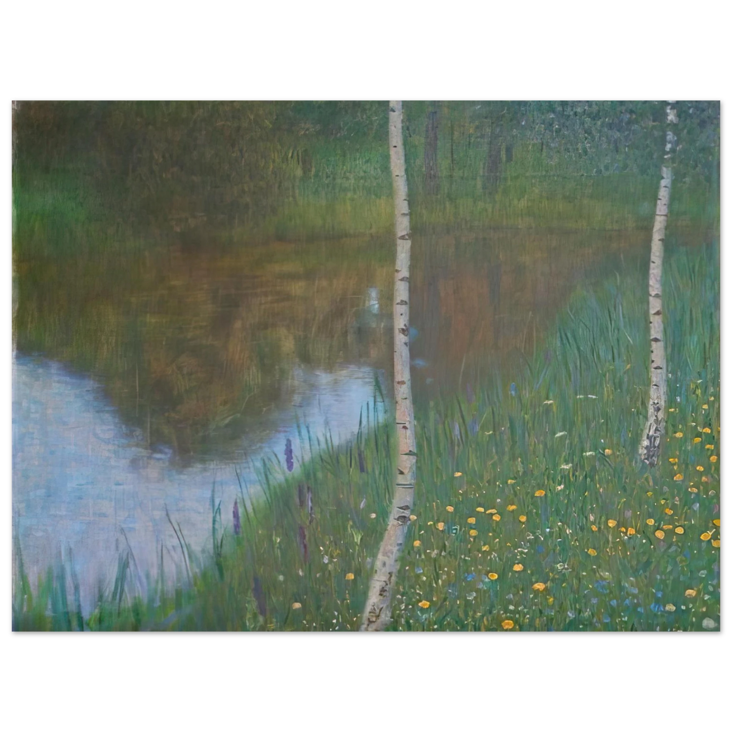Gustav Klimt - LAKESIDE WITH BIRCH TREES 1901  75x100 cm / 30x40inches Fine Art Poster
