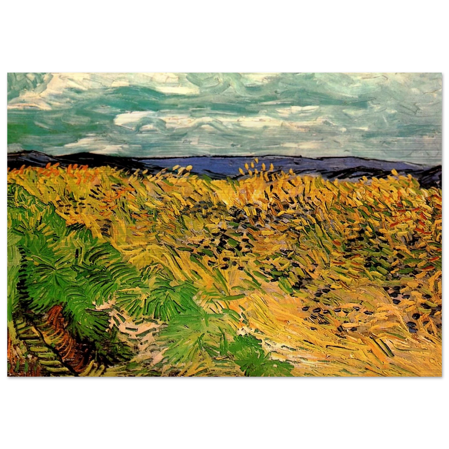 Wheat Field with Cornflowers - Vincent van Gogh Brushed Aluminum Print - 70x100 cm / 28x40 inches | Vincent van Gogh Aluminum Print | Vincent van Gogh Prints