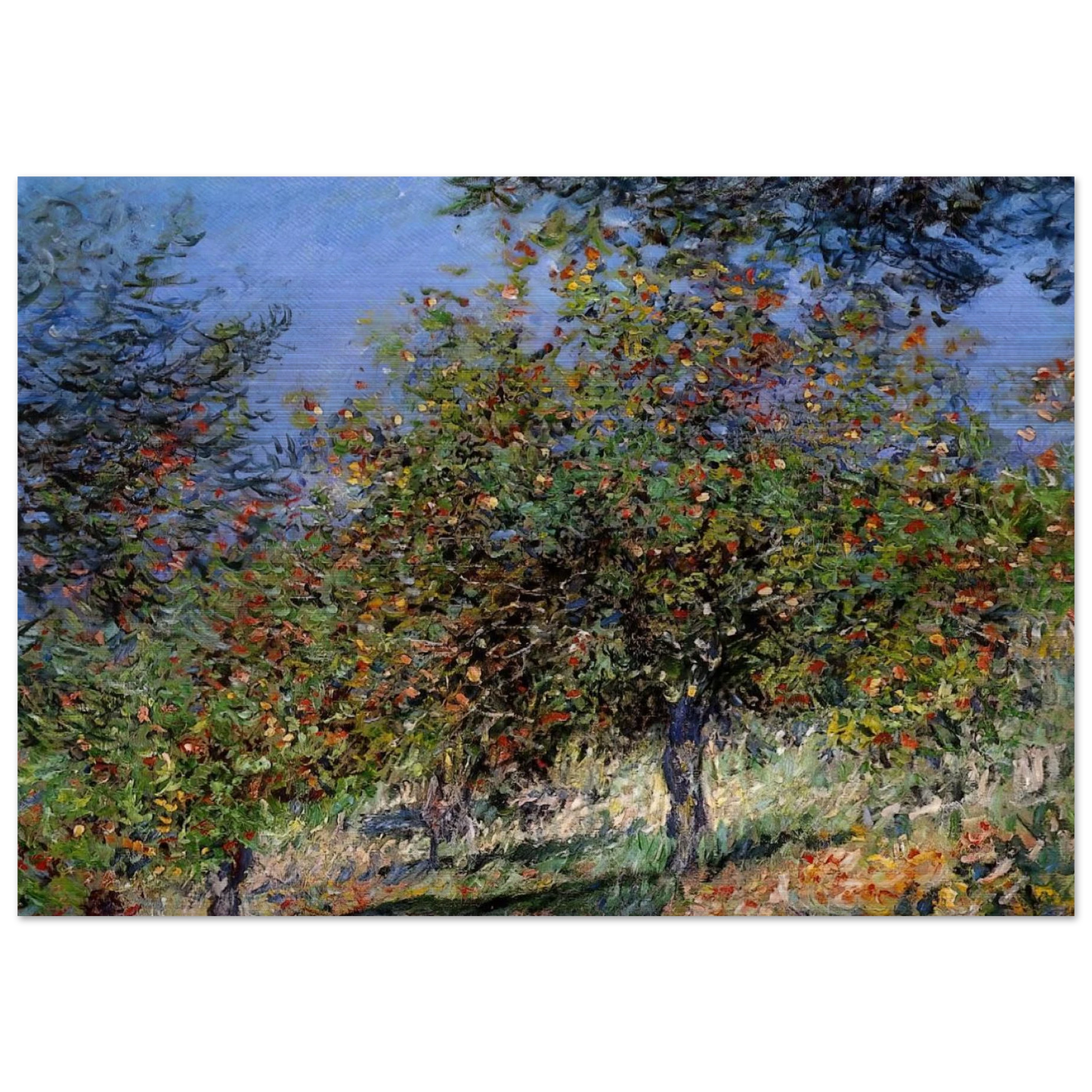 Apple Trees on the Chantemesle Hill - claude monet Brushed Aluminum Print - 70x100 cm / 28x40 inches | claude monet Aluminum Print | claude monet Prints