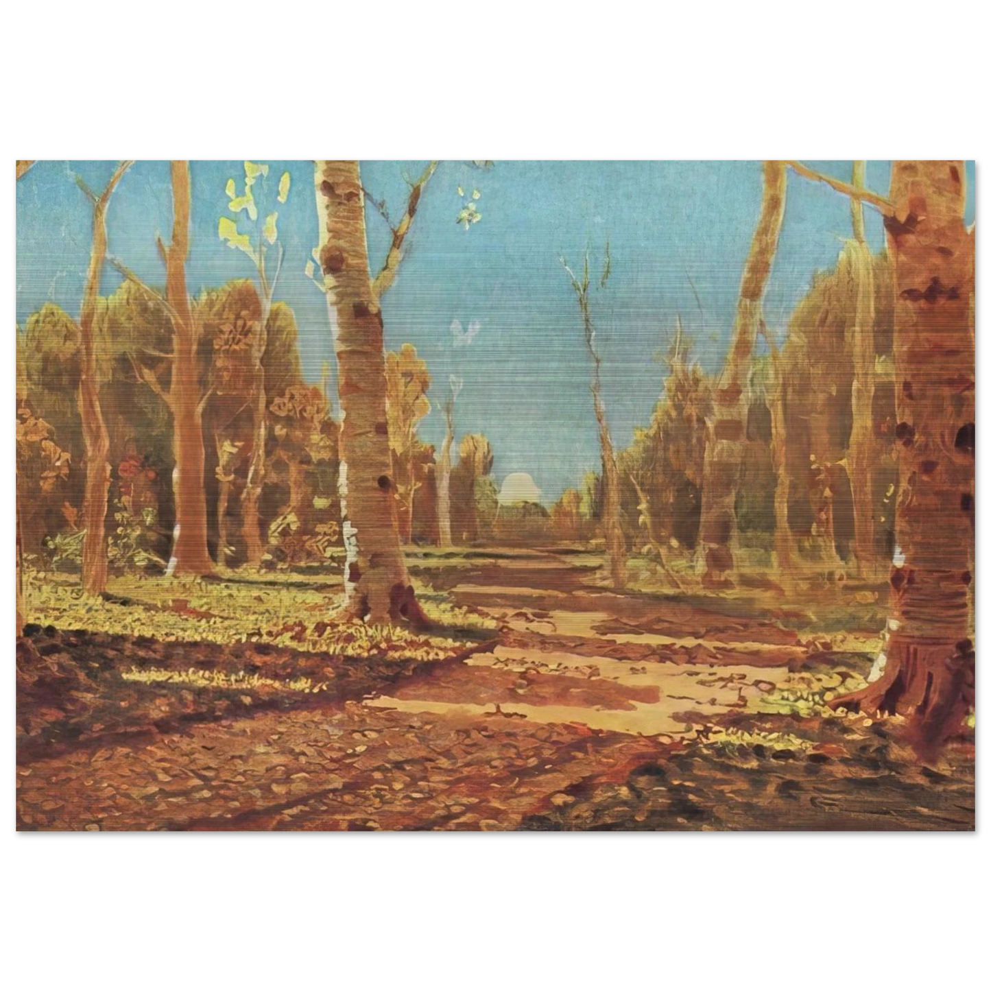 A Birch Grove - Arkhyp Kuindzhi Brushed Aluminum Print - 70x100 cm / 28x40 inches | Arkhyp Kuindzhi Aluminum Print | Arkhyp Kuindzhi Prints