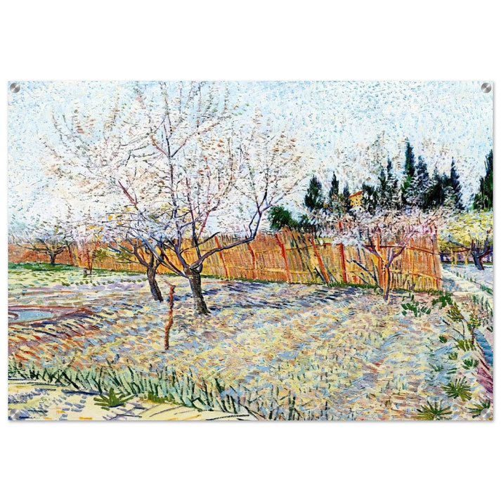 Orchard with Peach Trees in Blossom - Vincent van Gogh Acrylic Print - 70x100 cm / 28x40″ inches