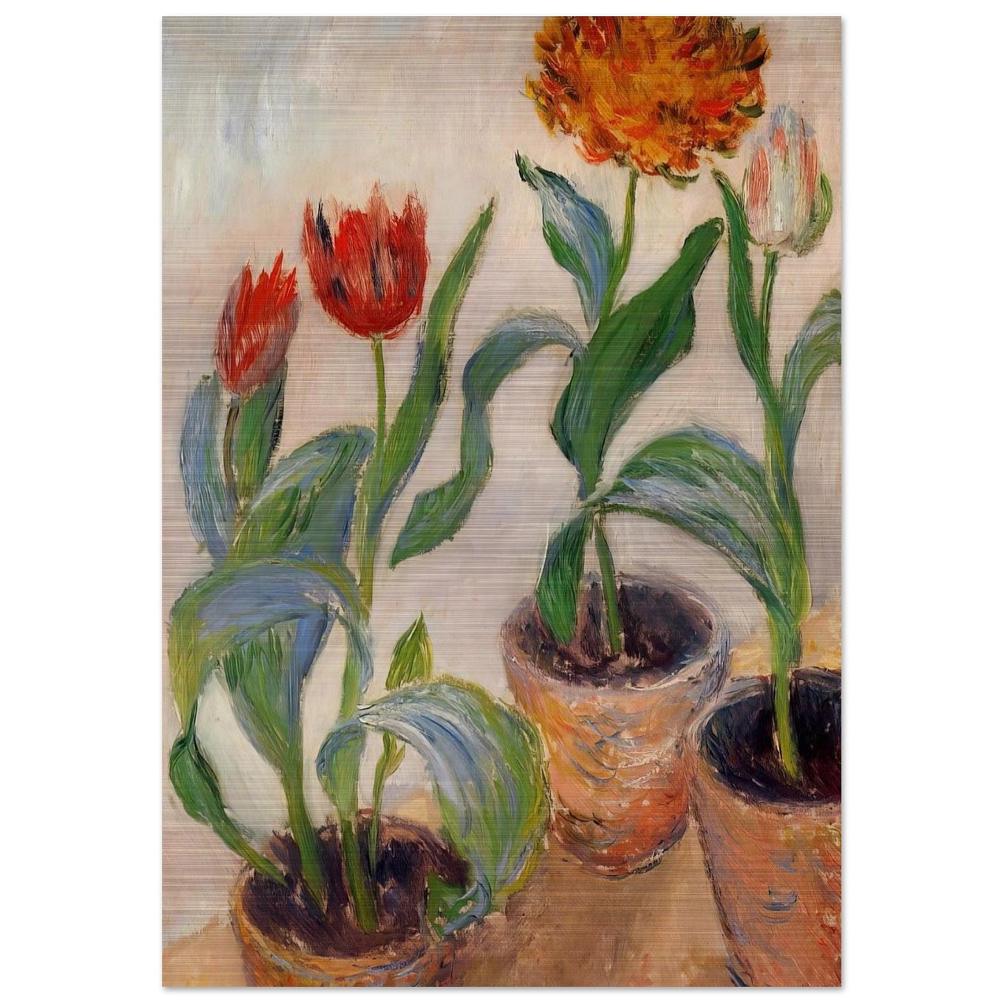 Three Pots of Tulips - claude monet Brushed Aluminum Print - 70x100 cm / 28x40 inches | claude monet Aluminum Print | claude monet Prints
