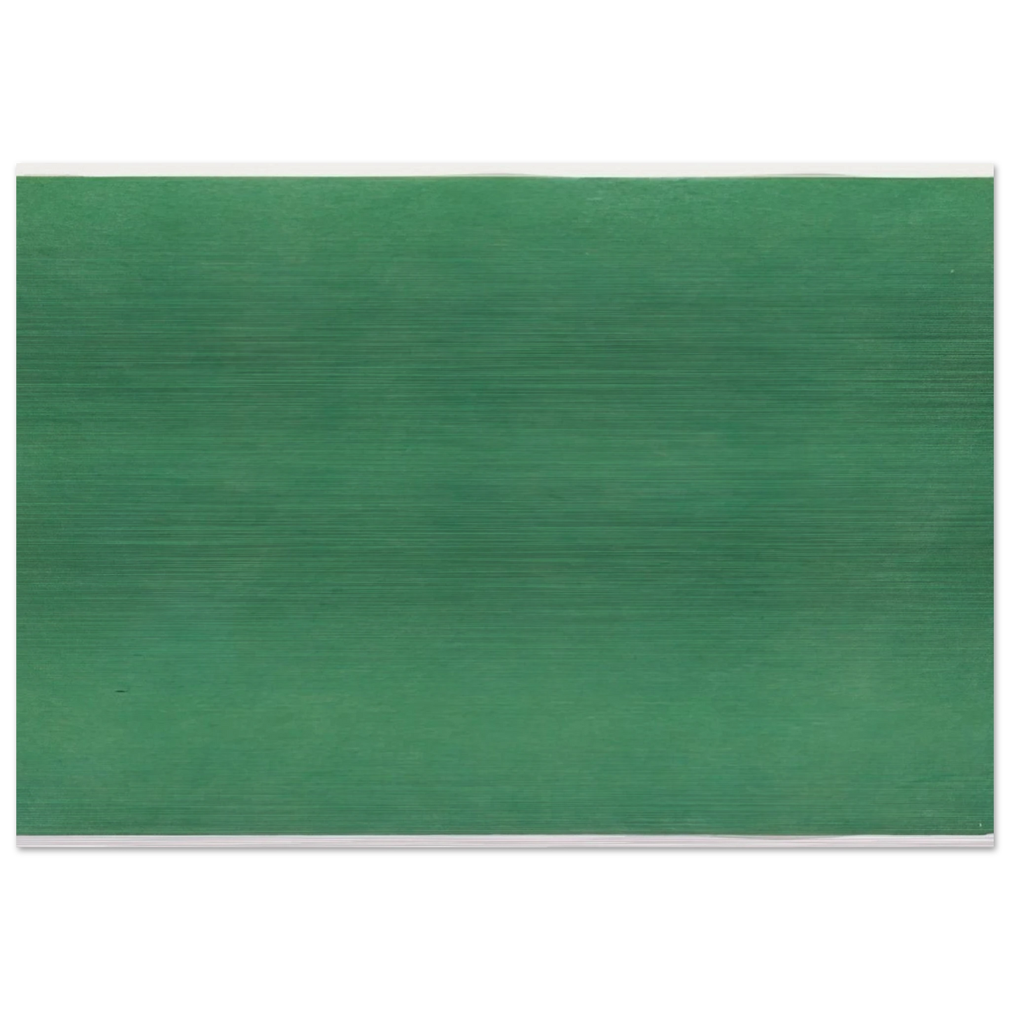 Green - Ellsworth Kelly Brushed Aluminum Print - 70x100 cm / 28x40 inches | Ellsworth Kelly Aluminum Print | Ellsworth Kelly Prints