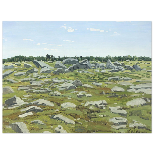 Neil Welliver - Study for Midday Barren - 1972  75x100 cm / 30x40inches Fine Art Poster