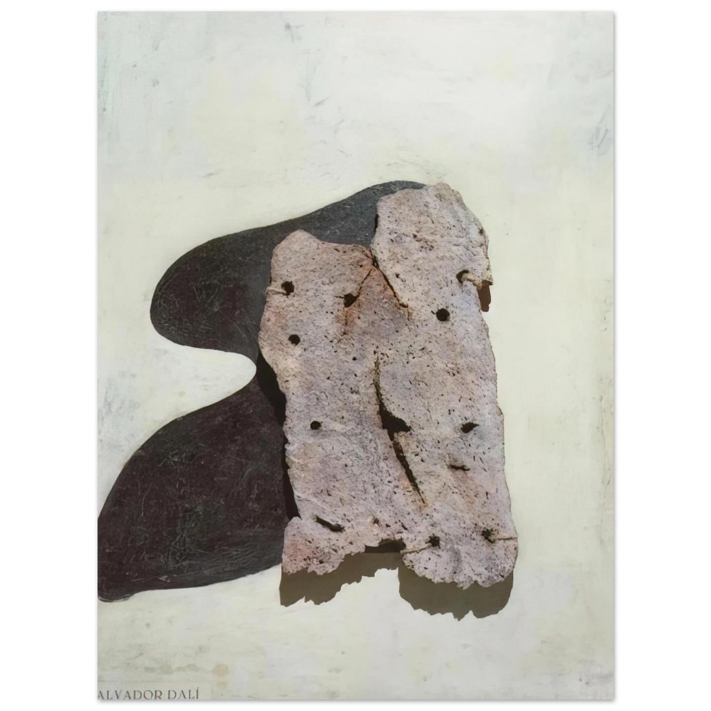 Salvador Dali - FEMALE NUDE  75x100 cm / 30x40inches Fine Art Poster