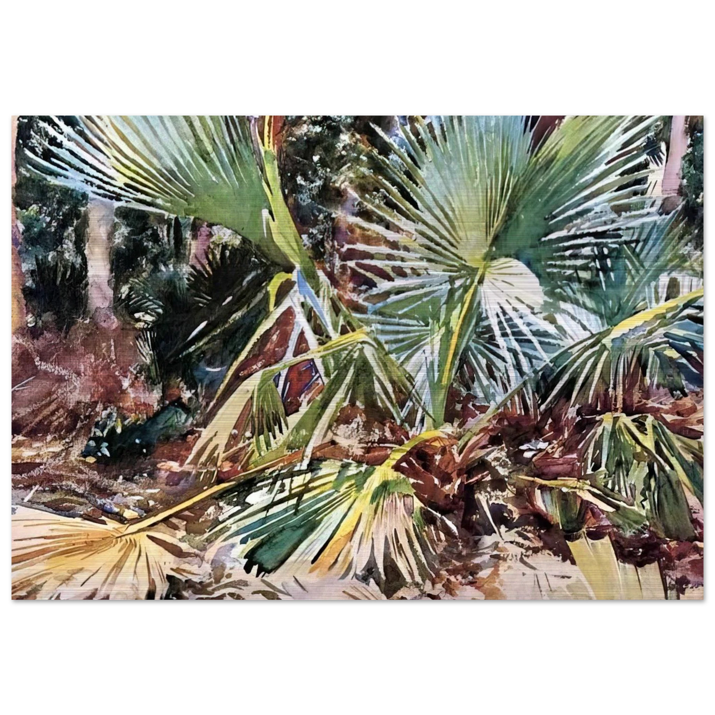 Palmettos, Florida - John Singer Sargent Brushed Aluminum Print - 70x100 cm / 28x40 inches | John Singer Sargent Aluminum Print | John Singer Sargent Prints