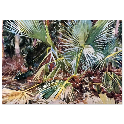 Palmettos, Florida - John Singer Sargent Brushed Aluminum Print - 70x100 cm / 28x40 inches | John Singer Sargent Aluminum Print | John Singer Sargent Prints