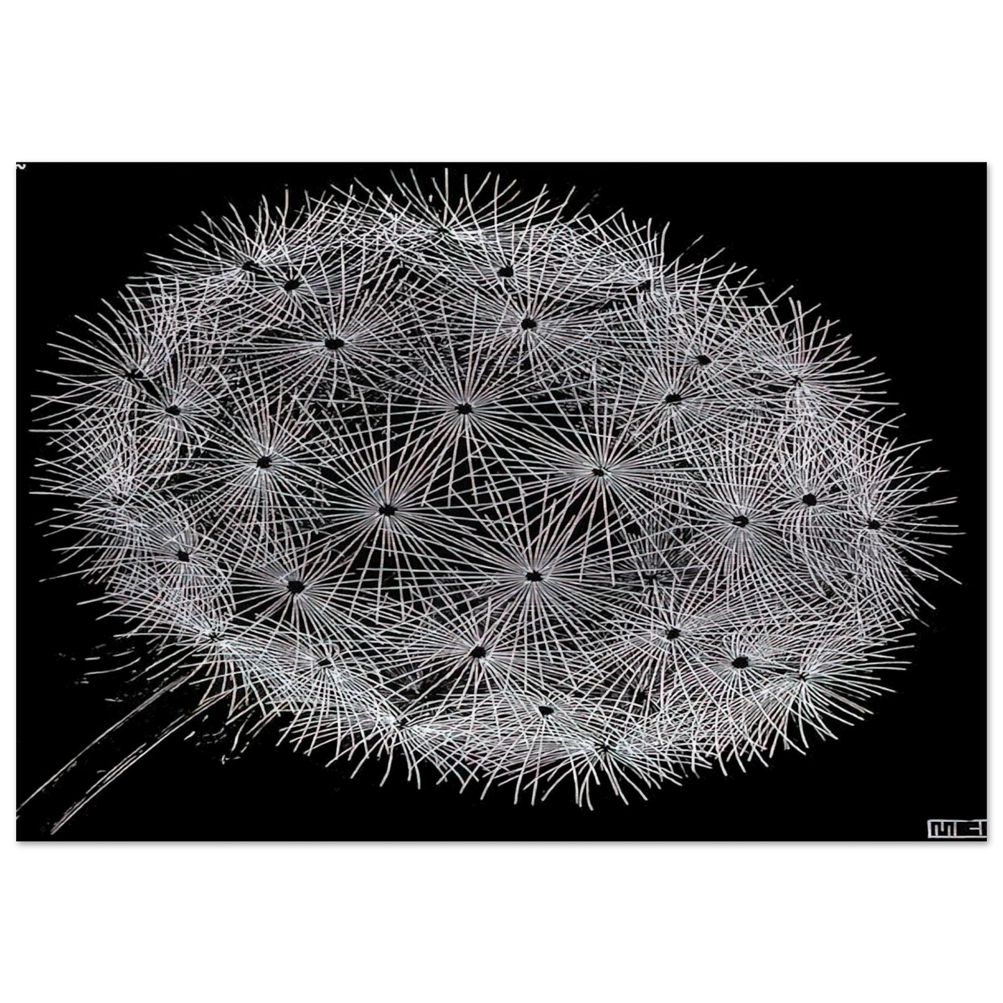 BLOWBALL II - MC Escher Brushed Aluminum Print - 70x100 cm / 28x40 inches | MC Escher Aluminum Print | MC Escher Prints | Maurits Cornelis Escher Prints