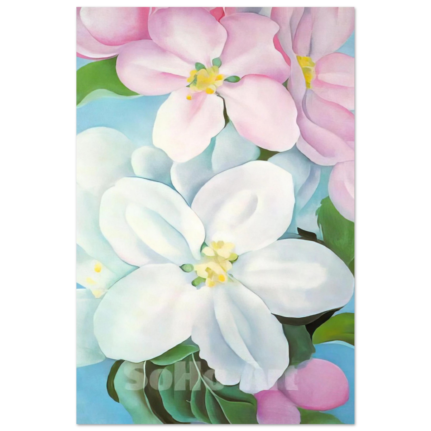 Georgia O'Keeffe - Apple Blossoms Fine Art Poster