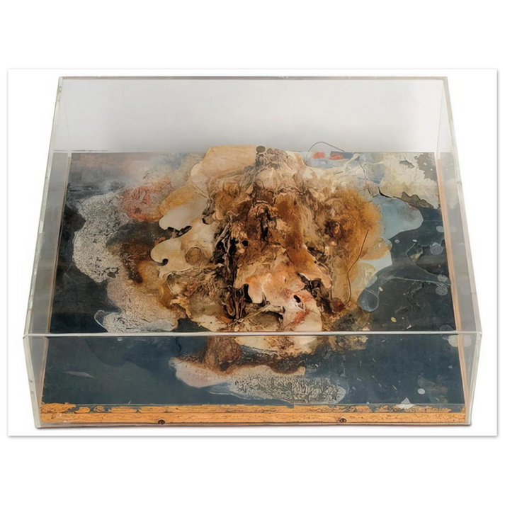 Dieter Roth - Small Island - 1968  75x100 cm / 30x40inches Fine Art Poster