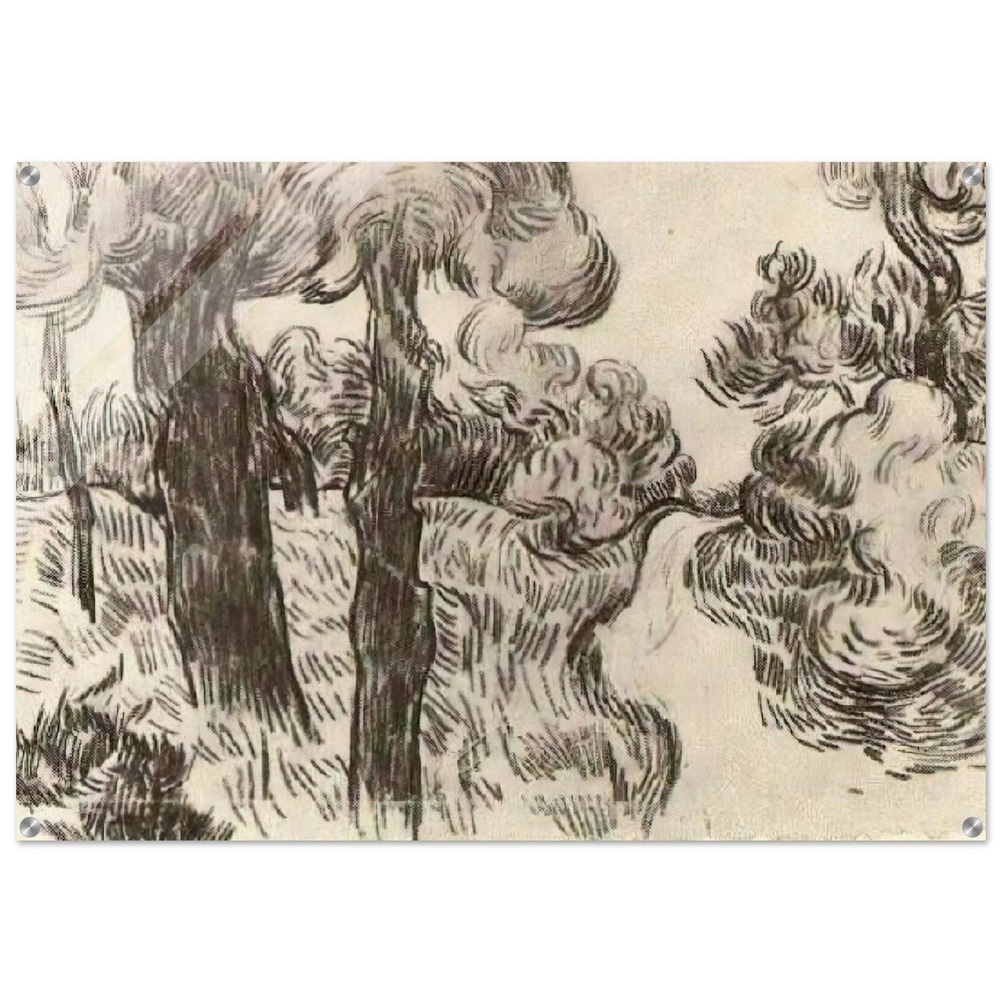 Path between Pine Trees - Vincent van Gogh Acrylic Print - 70x100 cm / 28x40″ inches | Vincent van Gogh Wall Art | Vincent van Gogh Prints