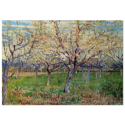 Orchard with Blossoming Apricot Trees - Vincent van Gogh Brushed Aluminum Print - 70x100 cm / 28x40 inches | Vincent van Gogh Aluminum Print | Vincent van Gogh Prints