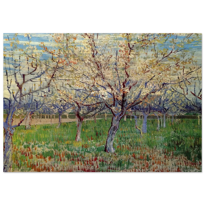 Orchard with Blossoming Apricot Trees - Vincent van Gogh Brushed Aluminum Print - 70x100 cm / 28x40 inches | Vincent van Gogh Aluminum Print | Vincent van Gogh Prints