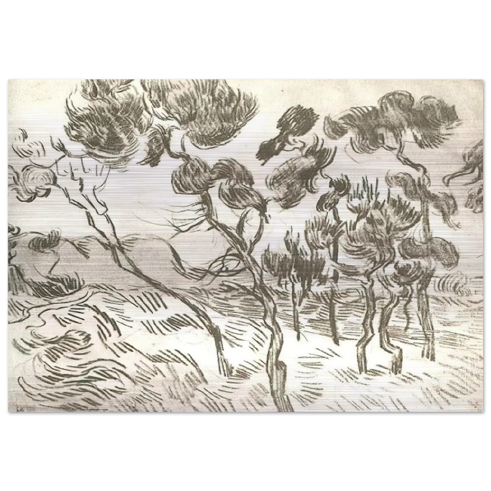 A Group of Pine Trees near a House - Vincent van Gogh Brushed Aluminum Print - 70x100 cm / 28x40 inches | Vincent van Gogh Aluminum Print | Vincent van Gogh Prints