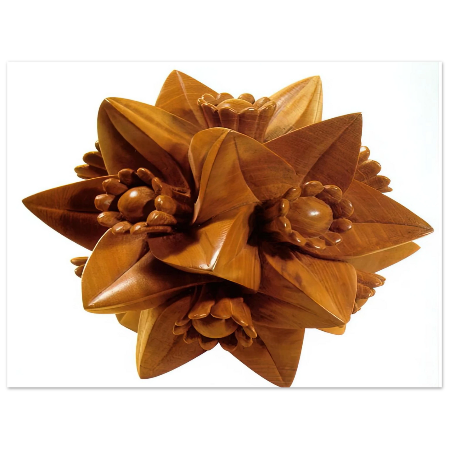 MC Escher - POLYHEDRON WITH FLOWERS Wall Art - 21x29.7 cm / 8x12" - Fine Art Poster-canvas - -