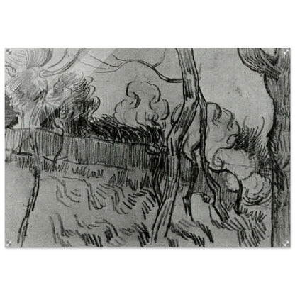 Pine Trees Seen against the Wall of the Asylum - Vincent van Gogh Acrylic Print - 70x100 cm / 28x40″ inches | Vincent van Gogh Wall Art | Vincent van Gogh Prints