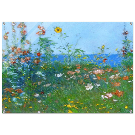 Poppies, Isles of Shoals 03 - Childe Hassam Acrylic Print - 70x100 cm / 28x40″ inches
