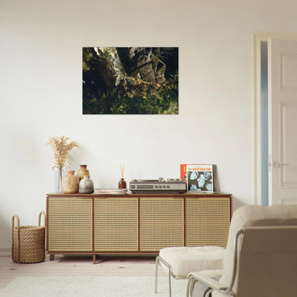 VIRGIN BIRCH 1982 - Andrew Wyeth Brushed Aluminum Print - 70x100 cm / 28x40 inches | Andrew Wyeth Aluminum Print | Andrew Wyeth Prints