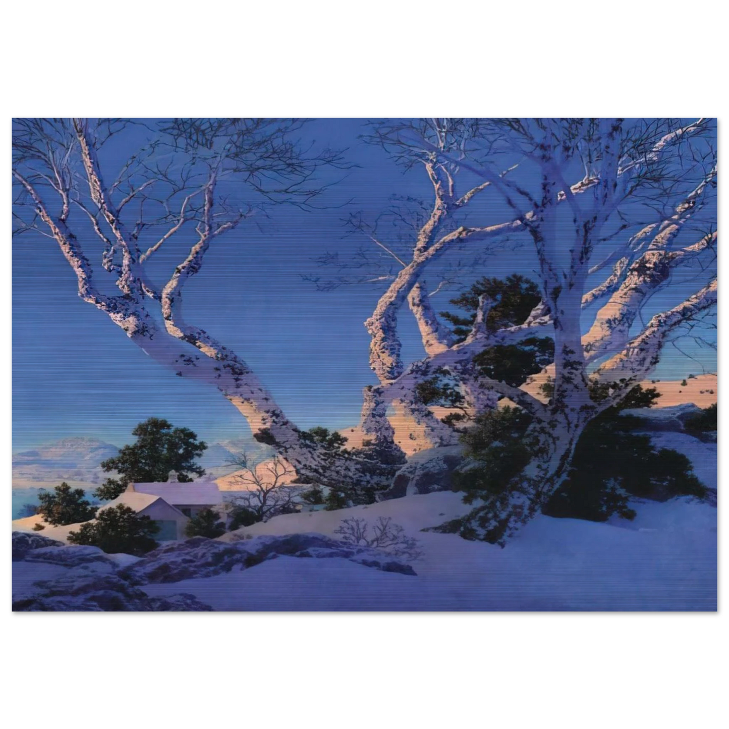Birches in Winter - Maxfield Parrish Brushed Aluminum Print - 70x100 cm / 28x40 inches | Maxfield Parrish Aluminum Print | Maxfield Parrish Prints