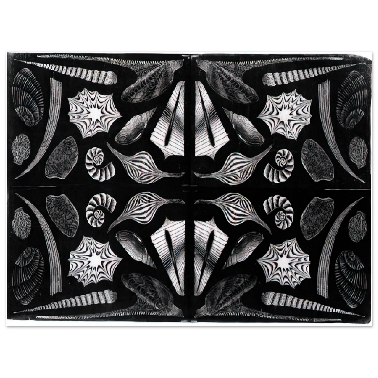 MC Escher - ESCHER (5) Wall Art - 30x40 cm / 12x16 inches - Premium Wooden Framed Poster With Fine Art Paper-canvas - Wood frame