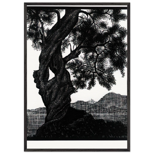OLD OLIVE TREE CORSICA - MC Escher 70x100 cm / 28x40 inches Framed Art Print – Black Wooden Frame | Maurits Cornelis Escher Prints