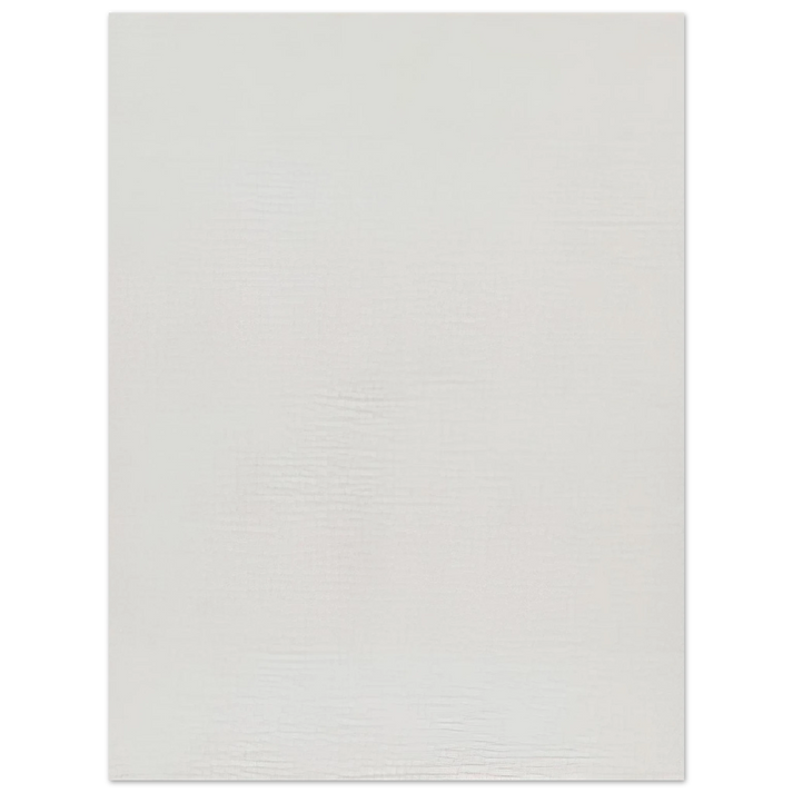 Robert Ryman - Twin  75x100 cm / 30x40inches Fine Art Poster